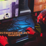 Nothing2Hide.net Gaming